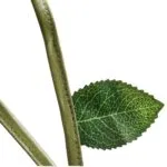 שרוכים לקשירה עם עלים קסומים תמונה 4