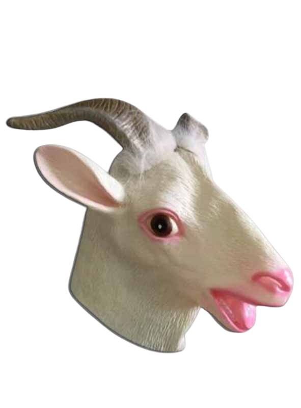 מסכת תיש לטקס