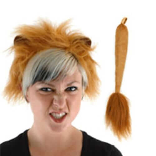 סט אריה מפואר